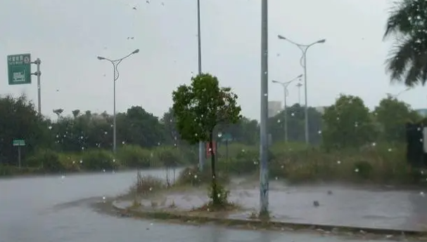 2022武汉8月份下雨多吗3