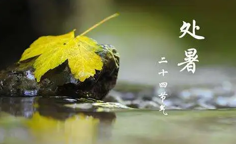 處暑在出伏前好不好2