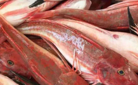 生腌海鱼并不比生腌淡水鱼更安全吗3