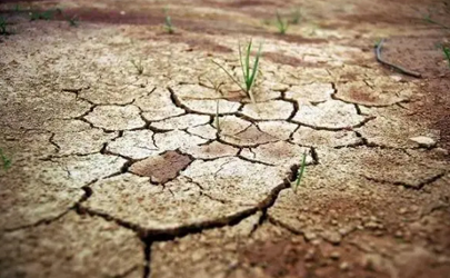 2023年为什么干旱地区多