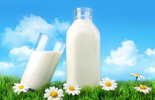 牛初乳的功效与作用及副作用