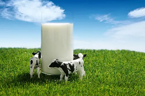 牛初乳的功效与作用及副作用2