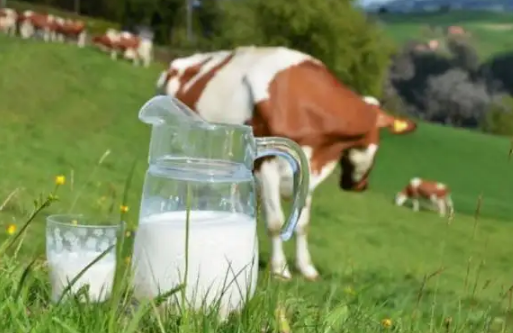 牛初乳的功效与作用及副作用3