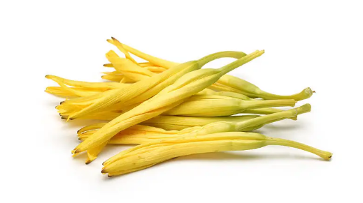 鲜黄花菜含有什么毒素3