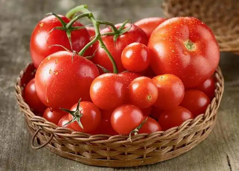 爱吃西红柿是缺什么营养3