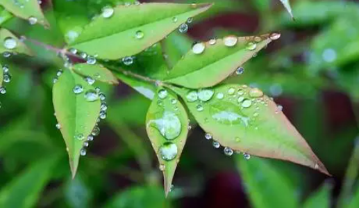 2022深圳10月份雨水多嗎3