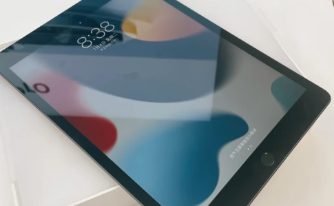 iPad10是什么屏幕