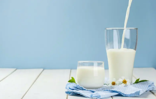 水牛奶和纯牛奶哪个营养价值高
