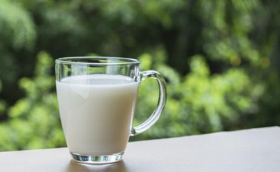 水牛奶和纯牛奶哪个营养价值高