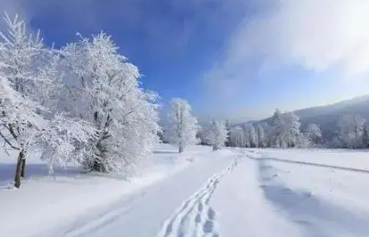 2022年大連11月會(huì)下雪嗎1