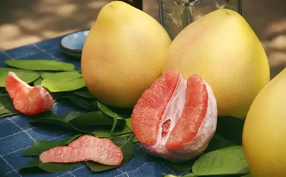 一个柚子的热量相当于几碗米饭的热量