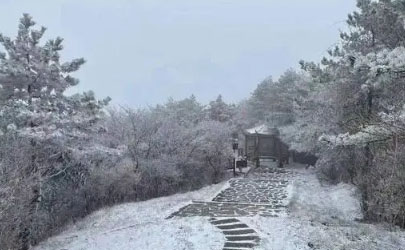 2022年南京11月能不能下雪