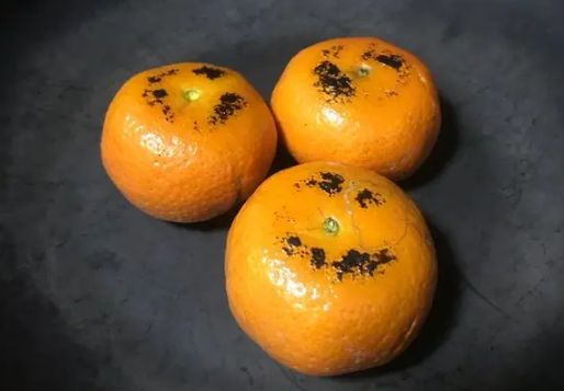 烤橘子的皮能吃吗3