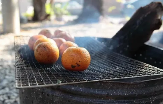 烤箱烤橘子用几度多少分钟3
