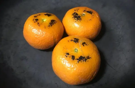 橘子|烤橘子趁热吃还是放凉吃