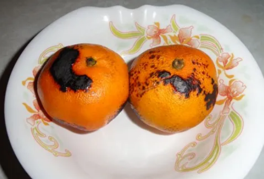 烤橘子可以用微波炉烤吗1