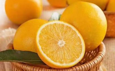 鹽蒸橙子可以用果凍橙嗎