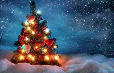 圣诞树每年都必须要新的吗2