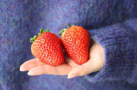 吃草莓前如何清洗草莓3