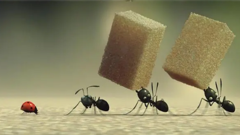 踩死一只蚂蚁会被蚂蚁发现吗3