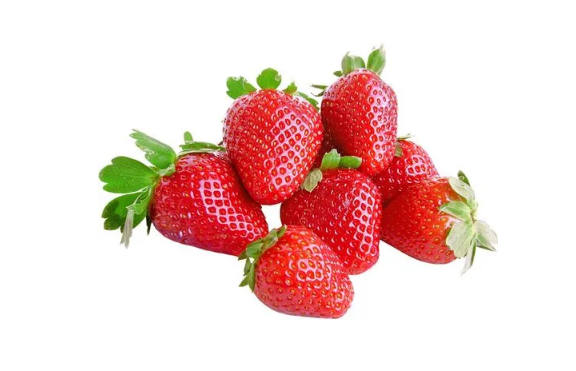 草莓可以冻起来保存吗3