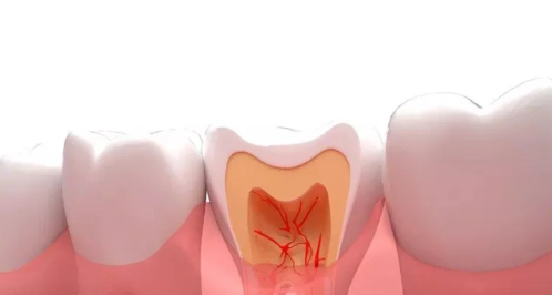 拔牙后频繁吞口水会影响出血量吗1