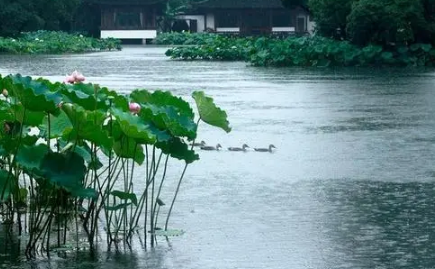 2023年浙江几月份是梅雨季节
