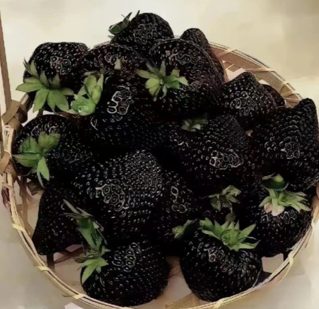 黑色草莓叫什么名字3