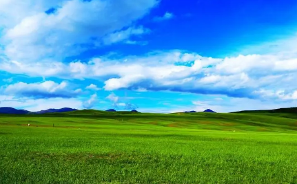 2023年内蒙古3月份去大草原有草吗2
