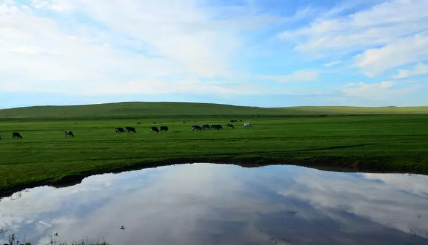 2023年内蒙古3月份去大草原有草吗3