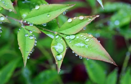 2023年五一上海會下雨嗎2