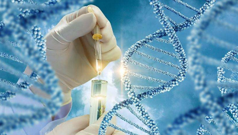 21基因检测低风险不化疗有危险吗3