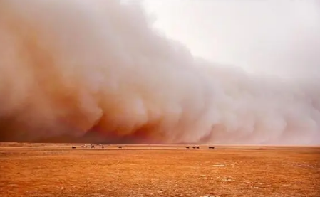 为什么本年沙尘暴这么严峻2023