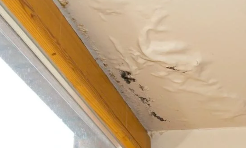 修楼房漏水的沥青用水泥可以防止毒素吗1