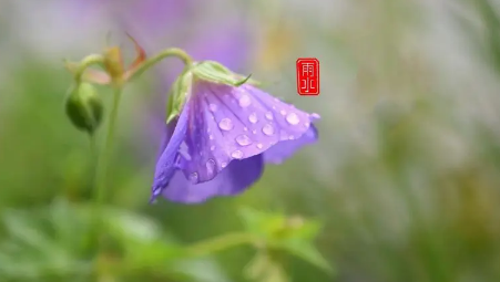 2023年重慶五月份雨水多嗎3