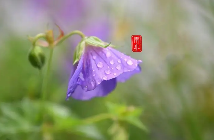 2023谷雨前后雨水多吗 2