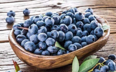 一盒蓝莓有一颗发霉了是不是不新鲜
