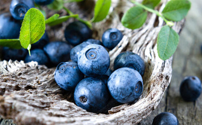 丹东蓝莓几月份成熟上市