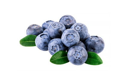 丹東藍莓和云南藍莓哪個好吃