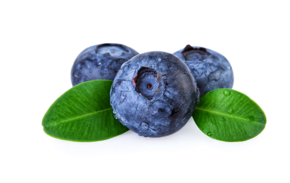 吃蓝莓要去掉哪些部位-吃蓝莓要去籽吗