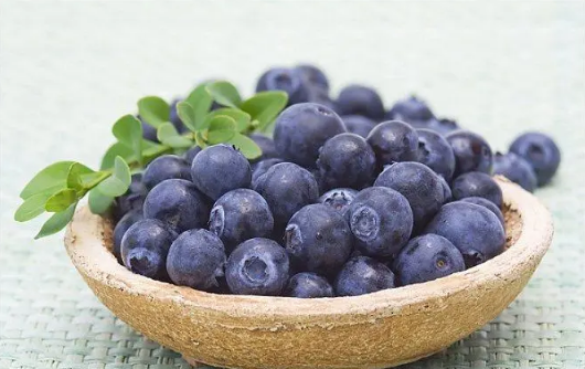 蓝莓可以用热水烫一下吃吗1