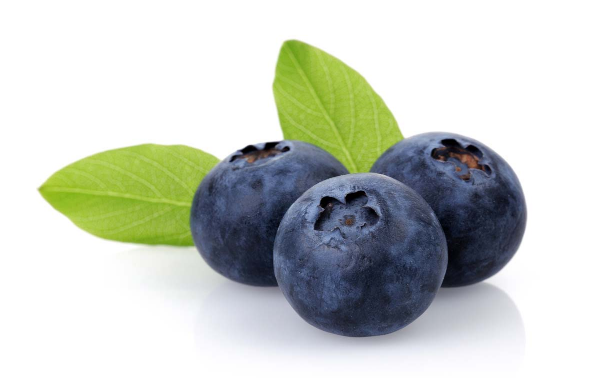 蓝莓加热损坏花青素吗