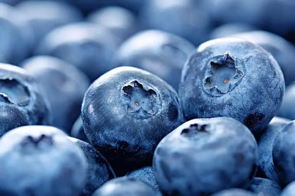 藍莓冷凍后花青素會消失嗎1