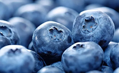 藍莓冷凍后花青素會消失嗎