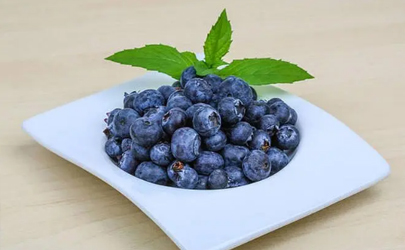 蓝莓的花青素是葡萄的多少倍