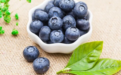 藍莓放冰箱10天還可以吃嗎