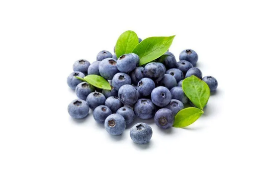 每天吃蓝莓能不能控制近视2