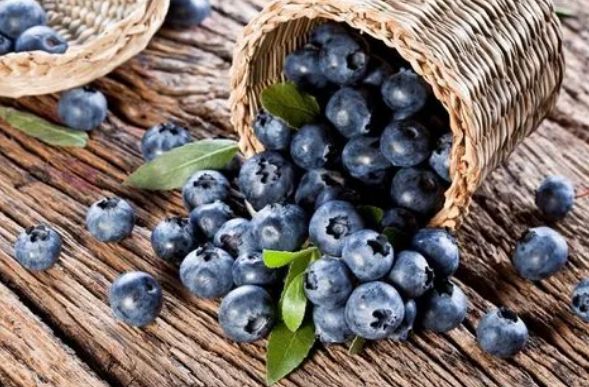 藍莓直接吃和榨汁吃哪個吸收好2