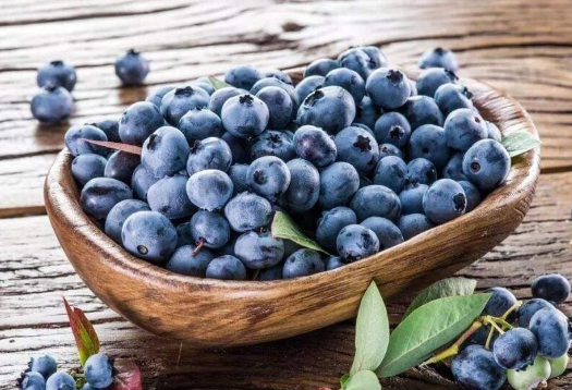 蓝莓里面有籽是正常的吗2