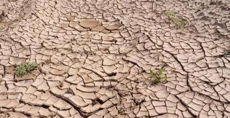 今年下半年是干旱吗最新20232